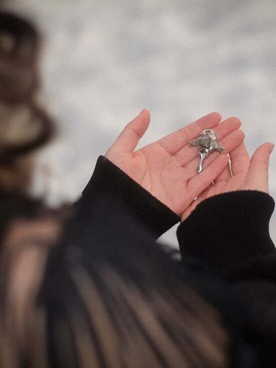 Insect pendant - Picture 2 of 3